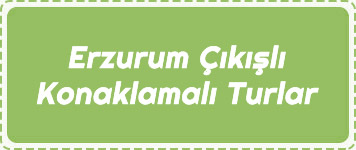 Erzurum kl Konaklamal Turlar